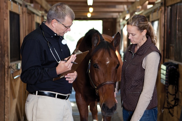 An equine veterinarian and horse owner during an appointment.