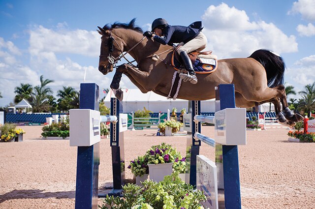 A Grand Prix showjumping horse clearing an oxer in competition.
