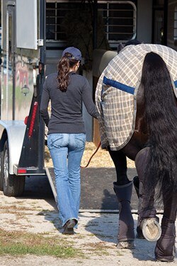 A woman loading a horse into a trailer.