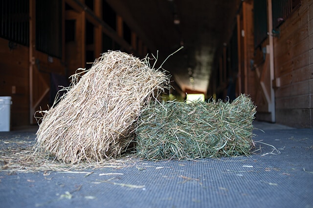 Two different flakes of hay