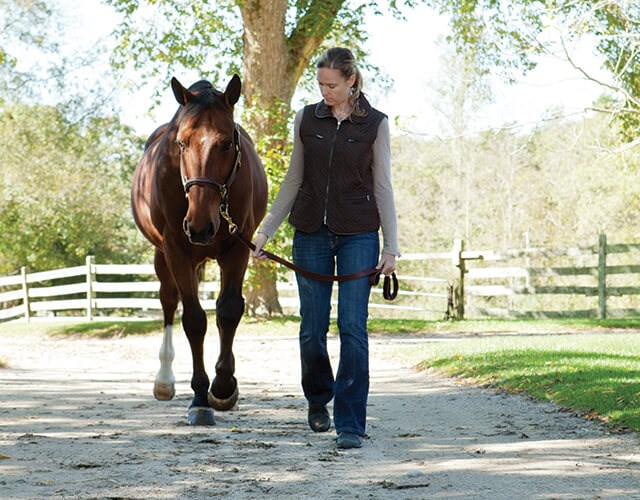 Woman walking bay horse outside