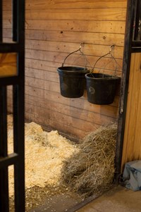 Supplements Complement Horse Feed
