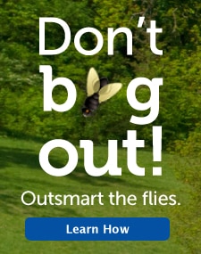 Don't bug out!