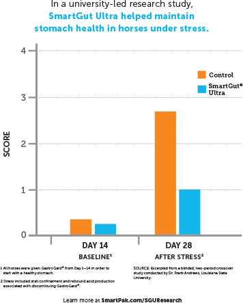 Number of Lesions Bar Graph