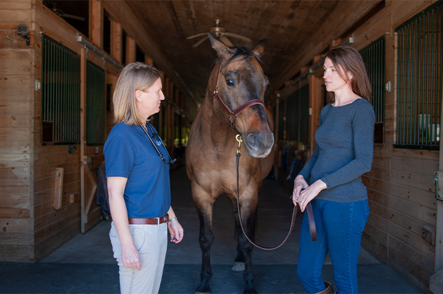 A horse owner and veterinarian discuss care for a colicking horse.