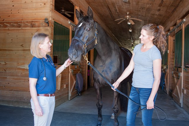 A horse owner and equine veterinarian speaking with each other during an appointment in the barn.
