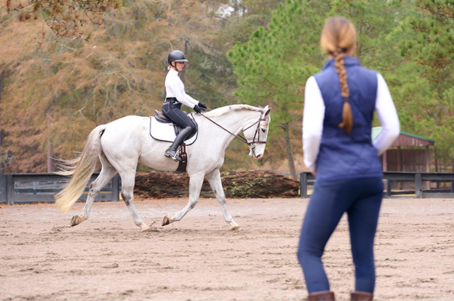 A grey hunter/jumper horse being ridden outside during a lesson.