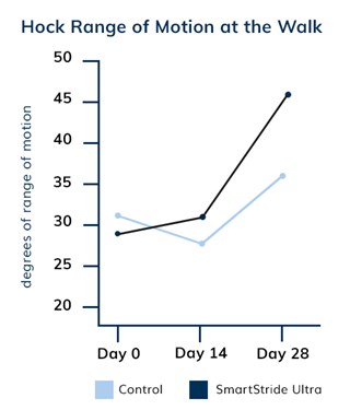 Hock Range of Motion at the Walk Graph