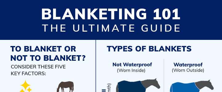 Click to view the Blanketing 101 Ultimate Guide