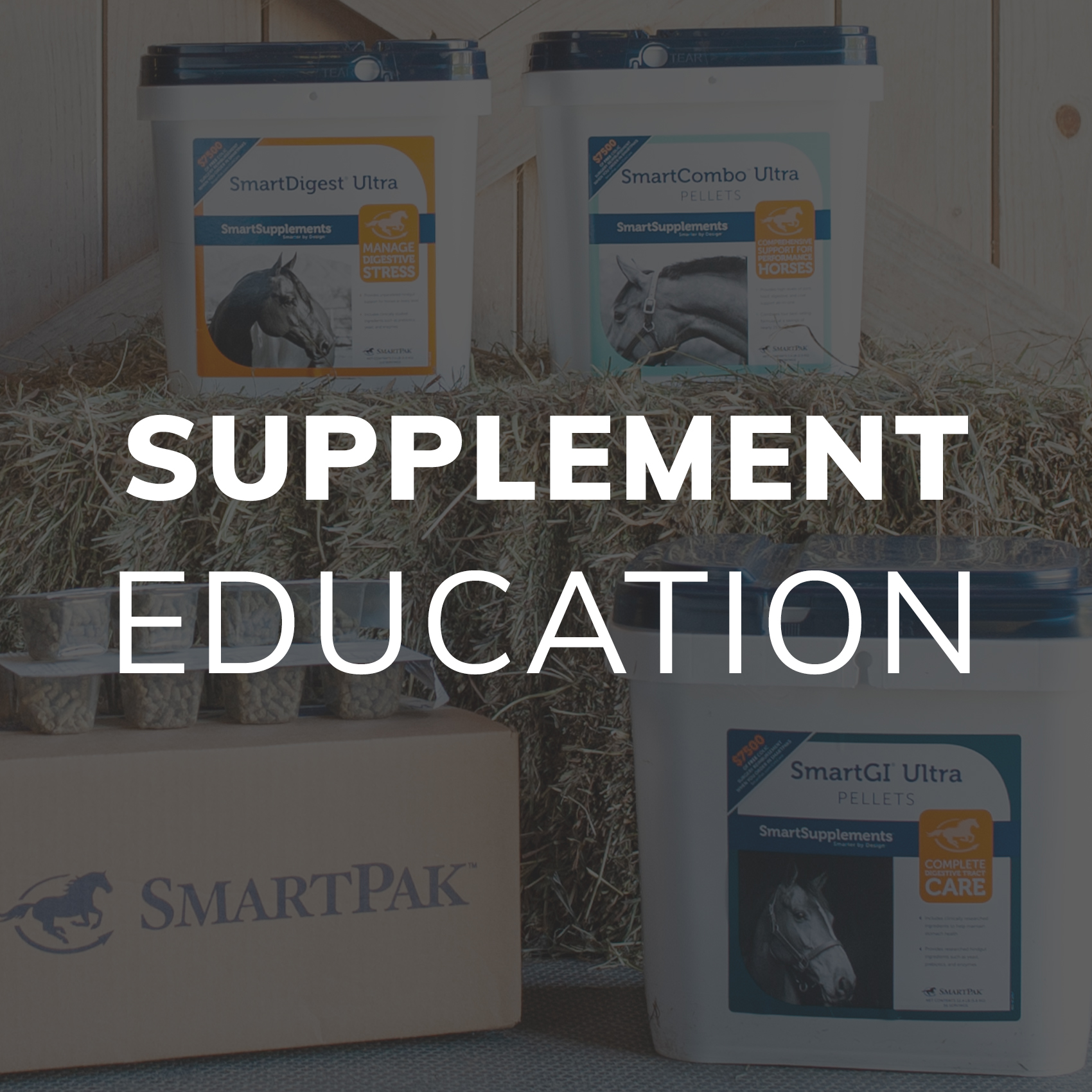 Supplement Education