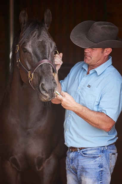 A man giving a horse a tube of dewormer.