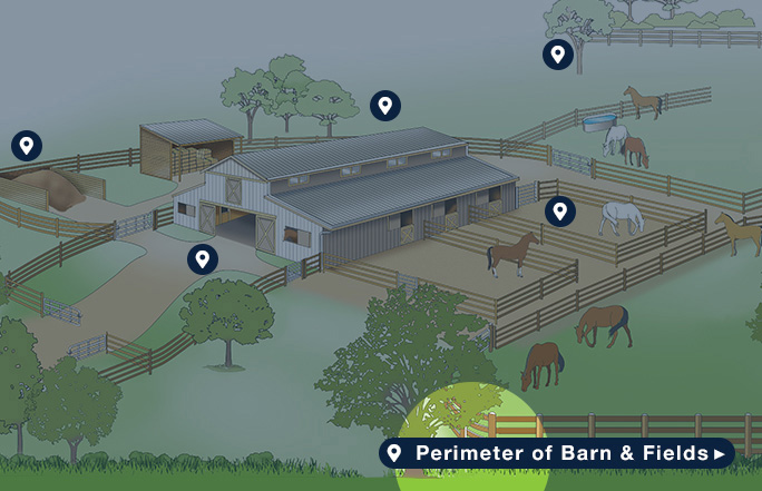 Perimeter of Barn & Fields