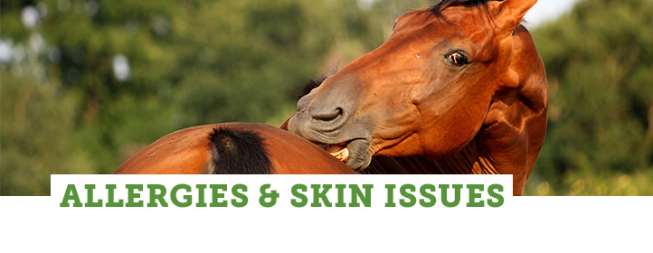 Allergies & Skin Issues
