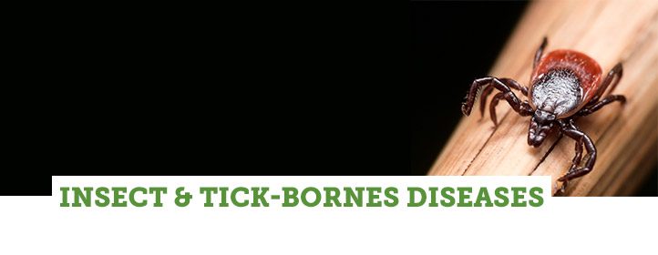 Insect & Tick-Borne Diseases