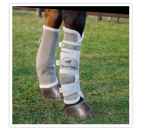 A horse wearing fly boots