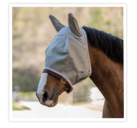 A horse wearing a fly mask