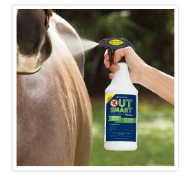 A woman spraying a fly repellent on a horse