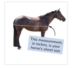 An illustration of how to measure your horse for a fly sheet