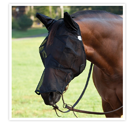 A horse wearing a fly mask