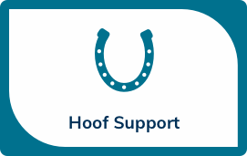 Hoof Support