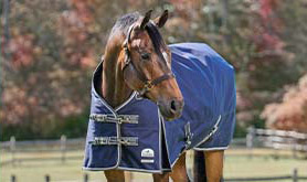 The Ultimate Horse Blanketing Guide – SmartPak Equine