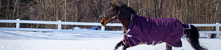 Blanket tips!  Hillside Stable – Ardrossan, Alberta