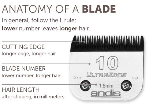 Image of blade, showing cutting edge, number, and hair length after clipping.