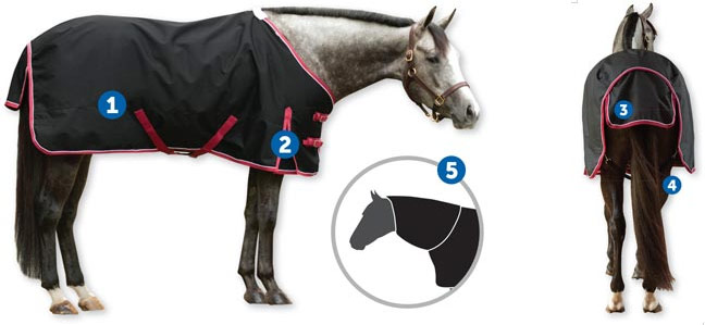 Parts of Horse blankets. 1. surcingles 2. shoulder gussets 3. tail flap 4. leg straps 5. hood/neck cover