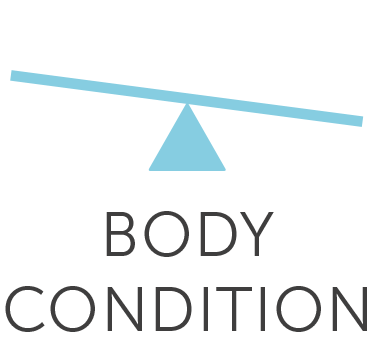 Body Condition