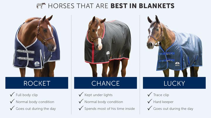 How to measure and fit a horse blanket [Visual Guide] - Horses and Us