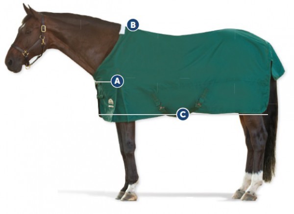 How to tell if your horse's blanket fits: 1. front closure lines up with shoulders 2. not too tight on the withers 3. blanket should be ideal length- not too long or short