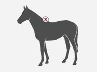 High Neck and Wug style blankets are a good fit for high withered horses