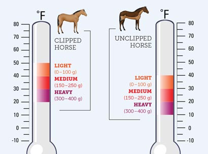 temperature chart blanket guide for horses depending on whether the horse is clipped or unclipped.