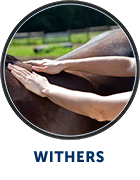 Henneke: withers