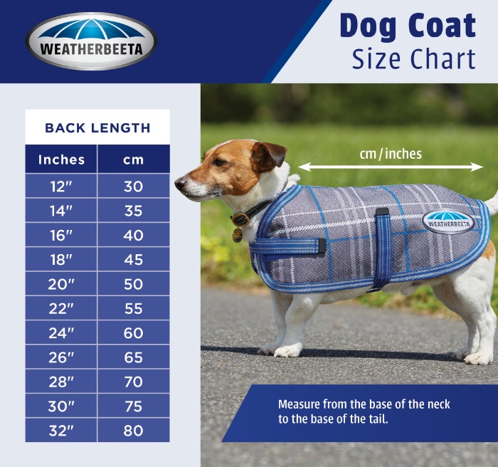 weatherbeeta reflective exercise dog coat