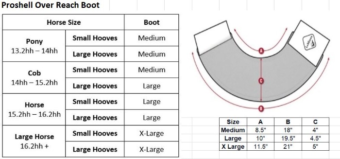 Sizing Chart for LeMieux ProShell Over Reach Boots