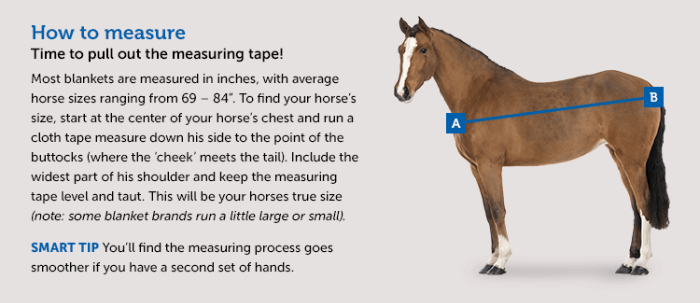 Sizing Chart for Rambo&reg; Stable Rug