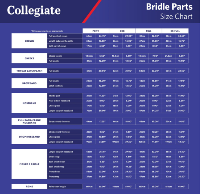Sizing Chart for Collegiate Syntovia+ Bridle