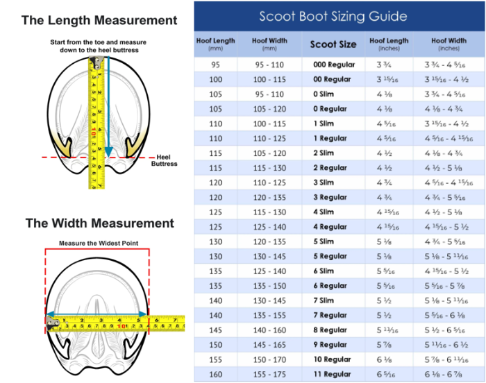 Sizing Chart for Scoot Boot Hoof Boots