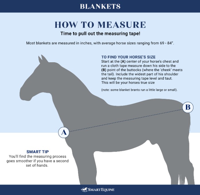 Sizing Chart for WeatherBeeta ComFiTec Plus Dynamic Detach-A-Neck Turnout Blanket
