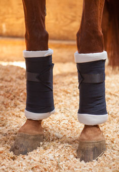 wrap-a-horse-leg