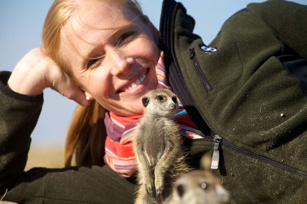 botswana_meerkats