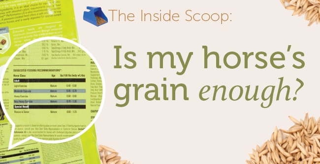 header-grain-scoop