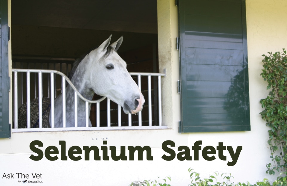 Selenium-Safety
