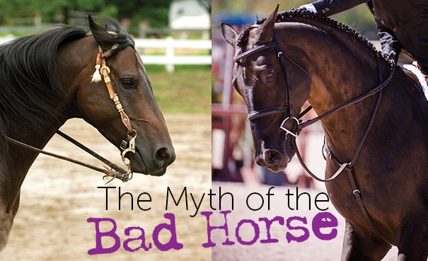 themythofthebadhorse