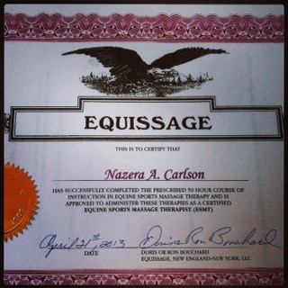 Equissage Certificate