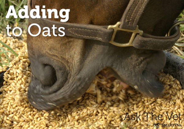adding-to-oats-header