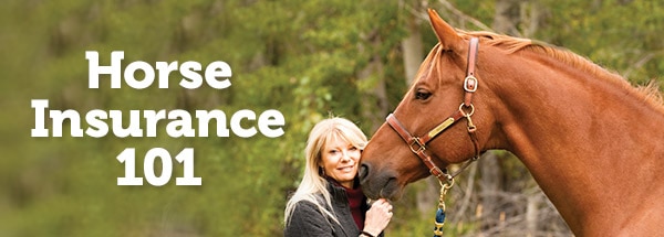 horseinsurance