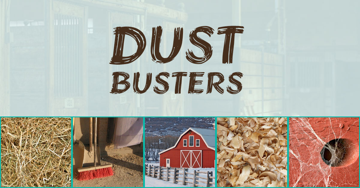 dustbusters