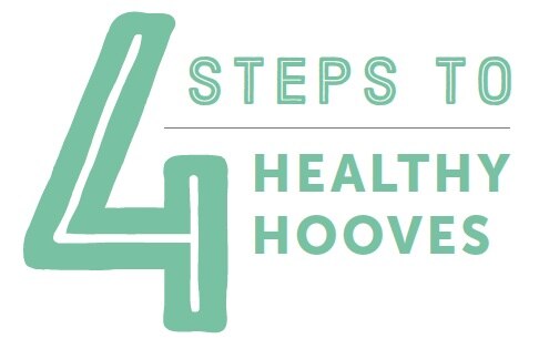 4 steps header